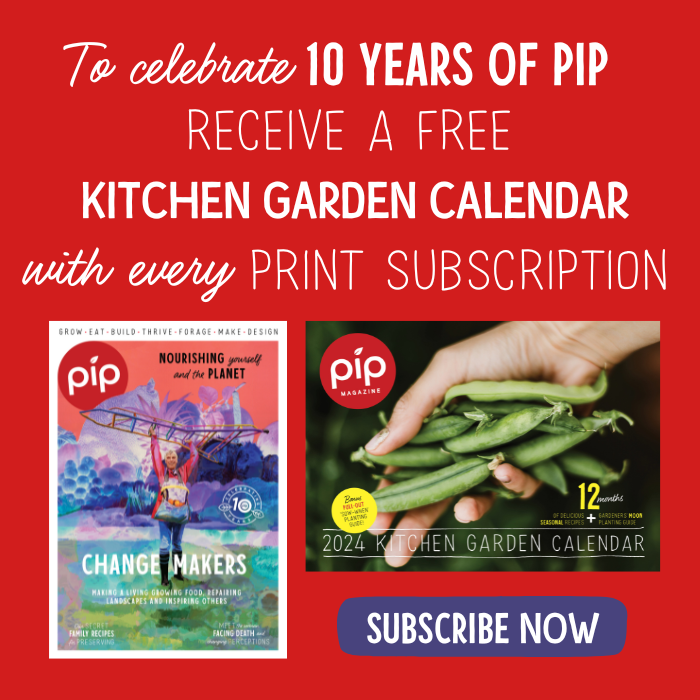 Pip Magazine subscribe banner