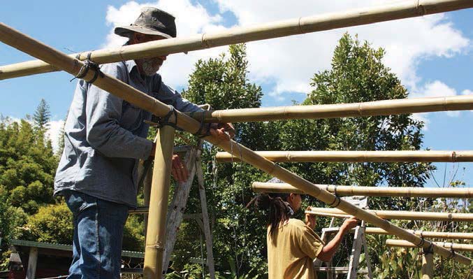 bamboo-permaculture