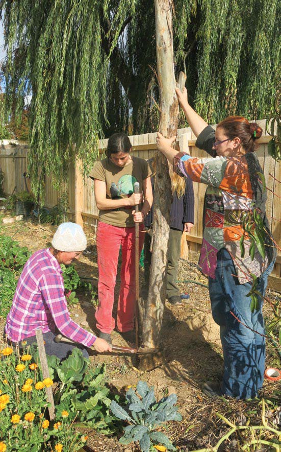 guide-permaculture-courses
