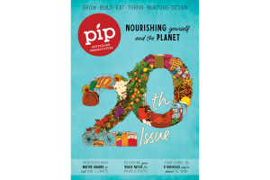 Pip Maqazine Issue 20 Cover