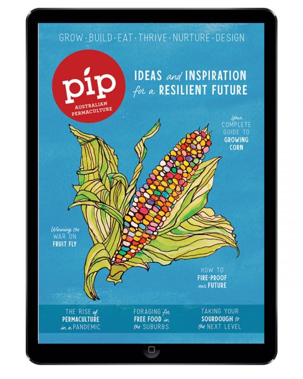 pip magazine issue 18 digital edition