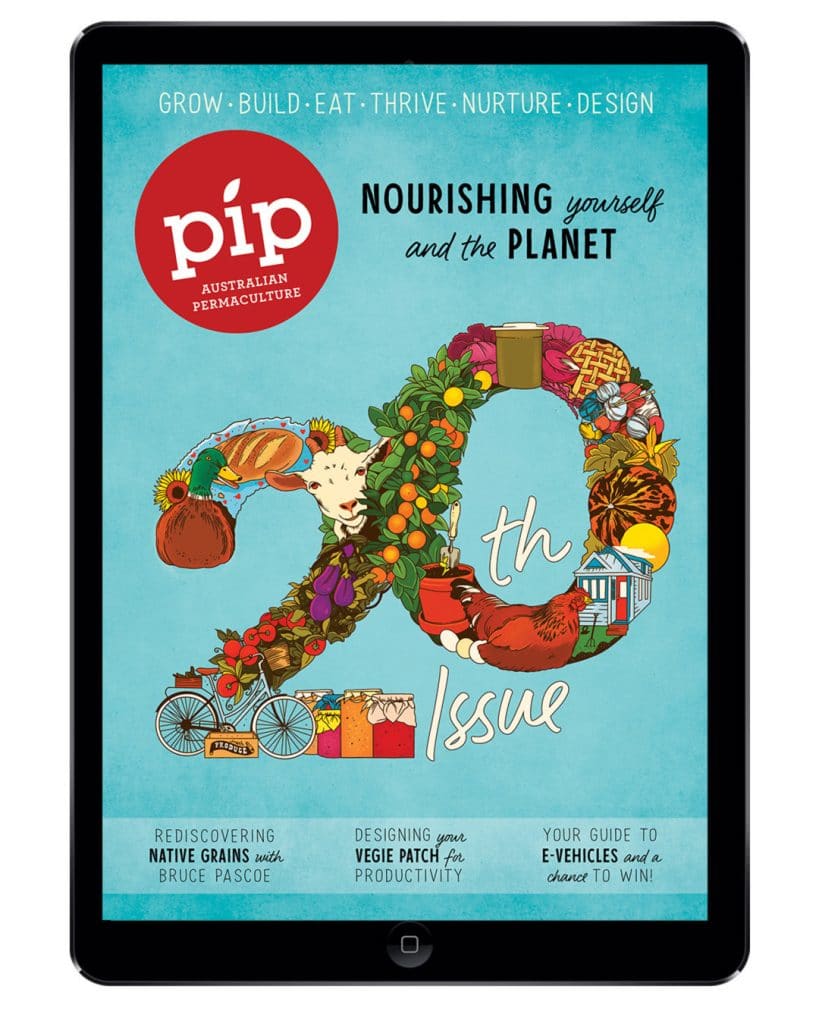 pip magazine issue 20 digital edition