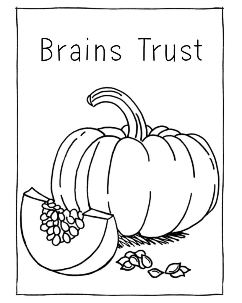 Brains Trust