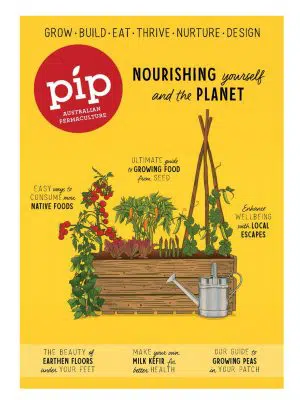 Pip Magazine Issue 21 Cover