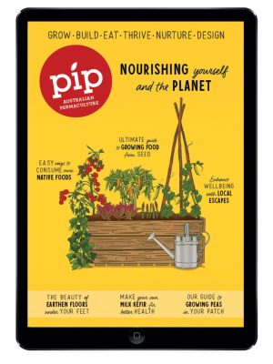 pip magazine issue 21 digital edition
