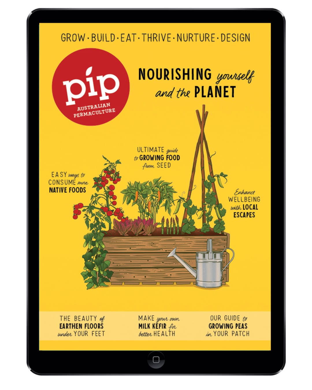 pip magazine issue 21 digital edition