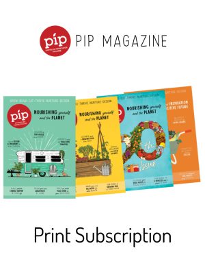 print subscription issue 22-10801350