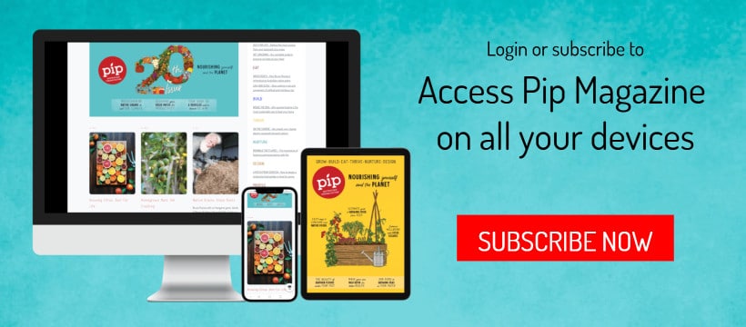Access Pip Magazine on your devices