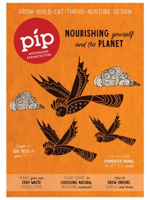 Pip Magazine Issue 23 cover