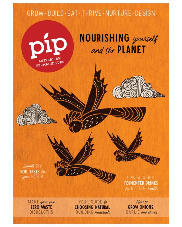 Pip Magazine Issue 23 cover