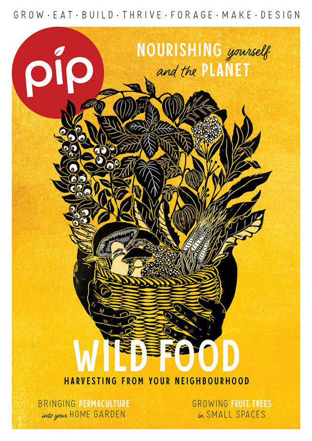 Pip Magazine Issue 25 Cover