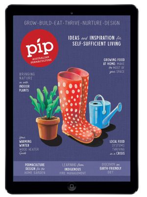 Pip Magazine issue 17