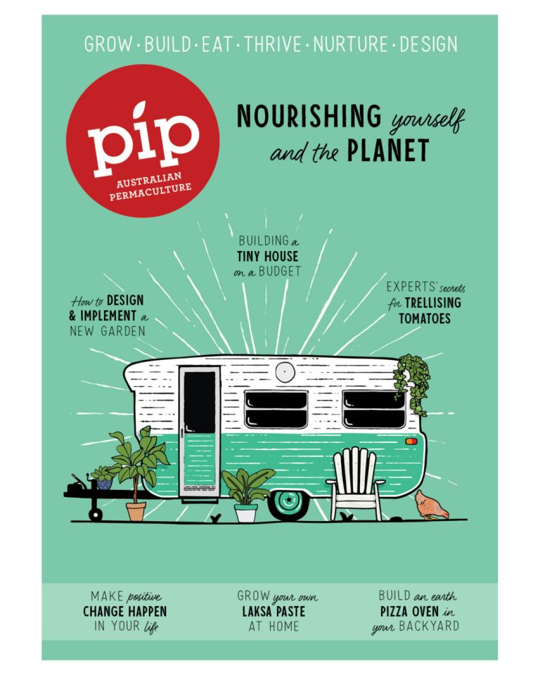 Pip Magazine - Issue 22