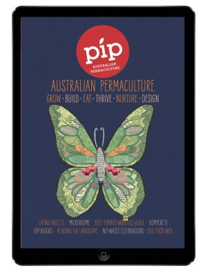 Pip Magazine digital issue 12