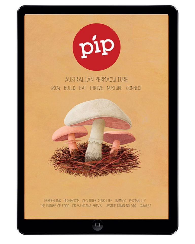pip magazine digital issue 3