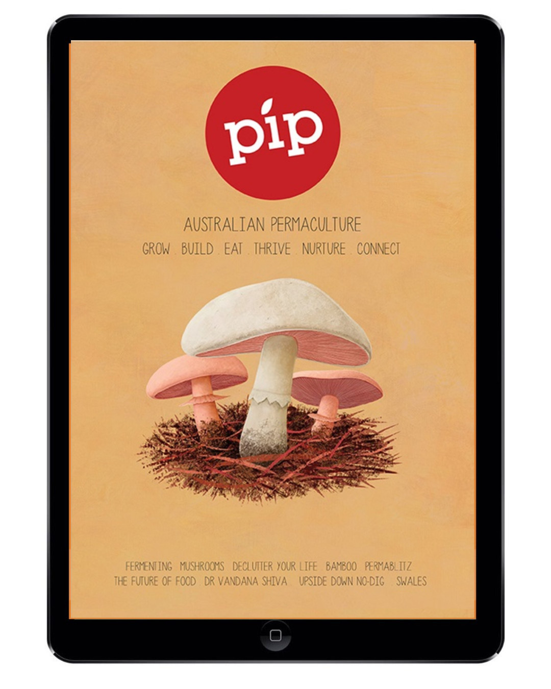 pip magazine digital issue 3