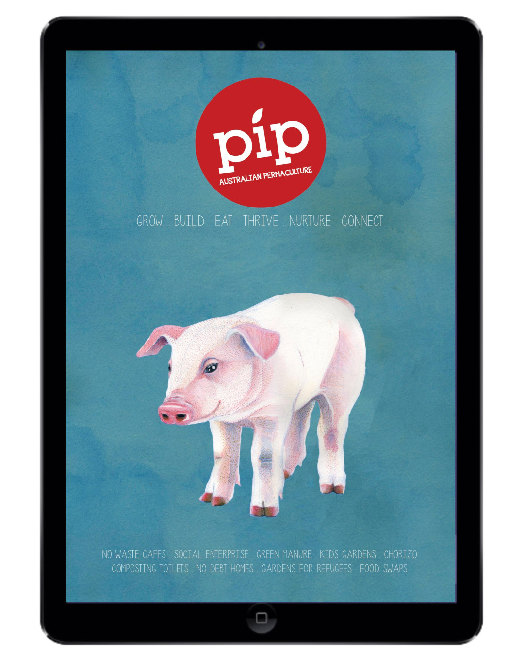 pip-magazine-digital-issue 2-1080x1350