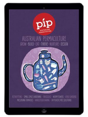 pip-magazine-digital-issue10-1080x1350