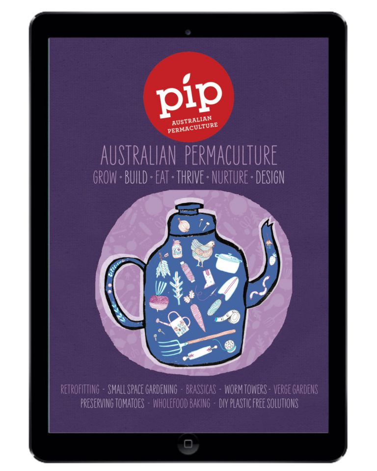 pip-magazine-digital-issue10-1080x1350