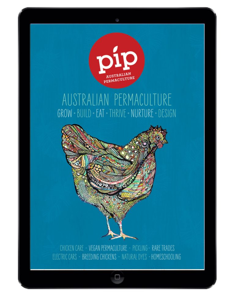 pip-magazine-digital-issue7-1080x1350