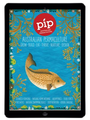 pip-magazine-digital-issue9-1080x1350
