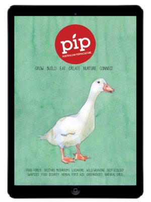 pip magazine issue 1 digital -10801350