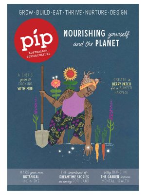 Pip Magazine Issue 24 Cover