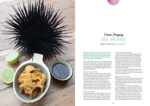 Issue 30 sea urchins