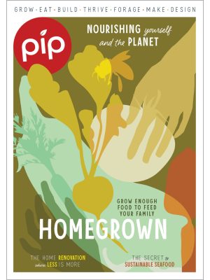 Issue 26 Pip