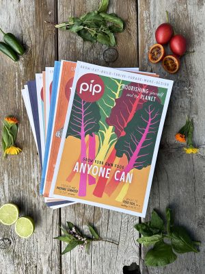 Pip Back issue Collection