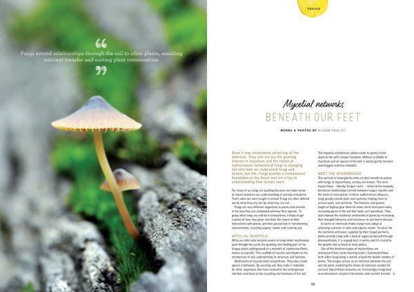 Issue 28 Fungi