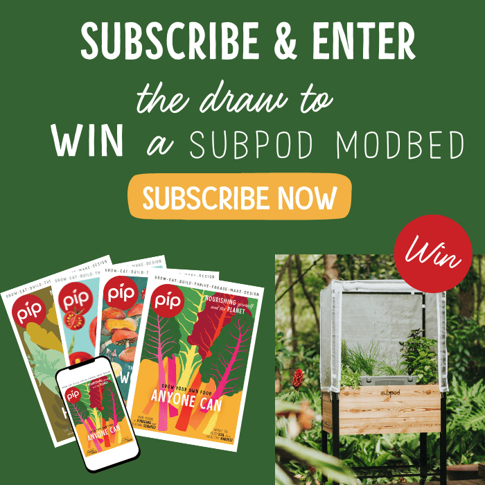 Subscribe to Pip Magazine and Win a Subpod Modbed
