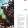 Issue 29 seaweed article