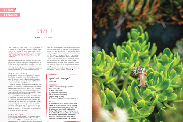 Issue 29 snail spread