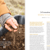issue 29 soil article