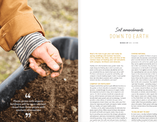 issue 29 soil article
