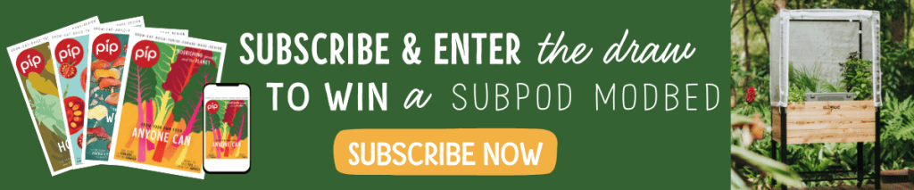 Subscribe to Pip Magazine Subpod giveaway