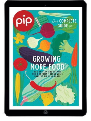 Growing more food ebook