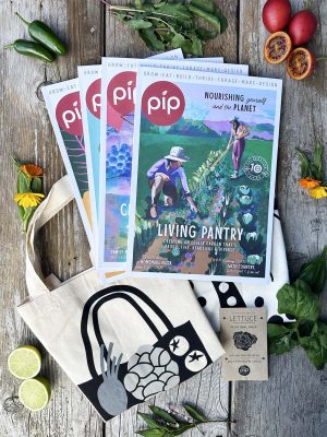 print subscription, teatowel, bag and seeds